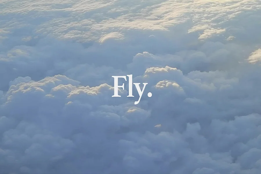 Fly.